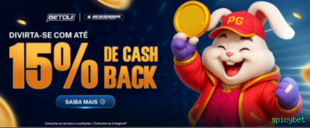 Formulário registro spicybet